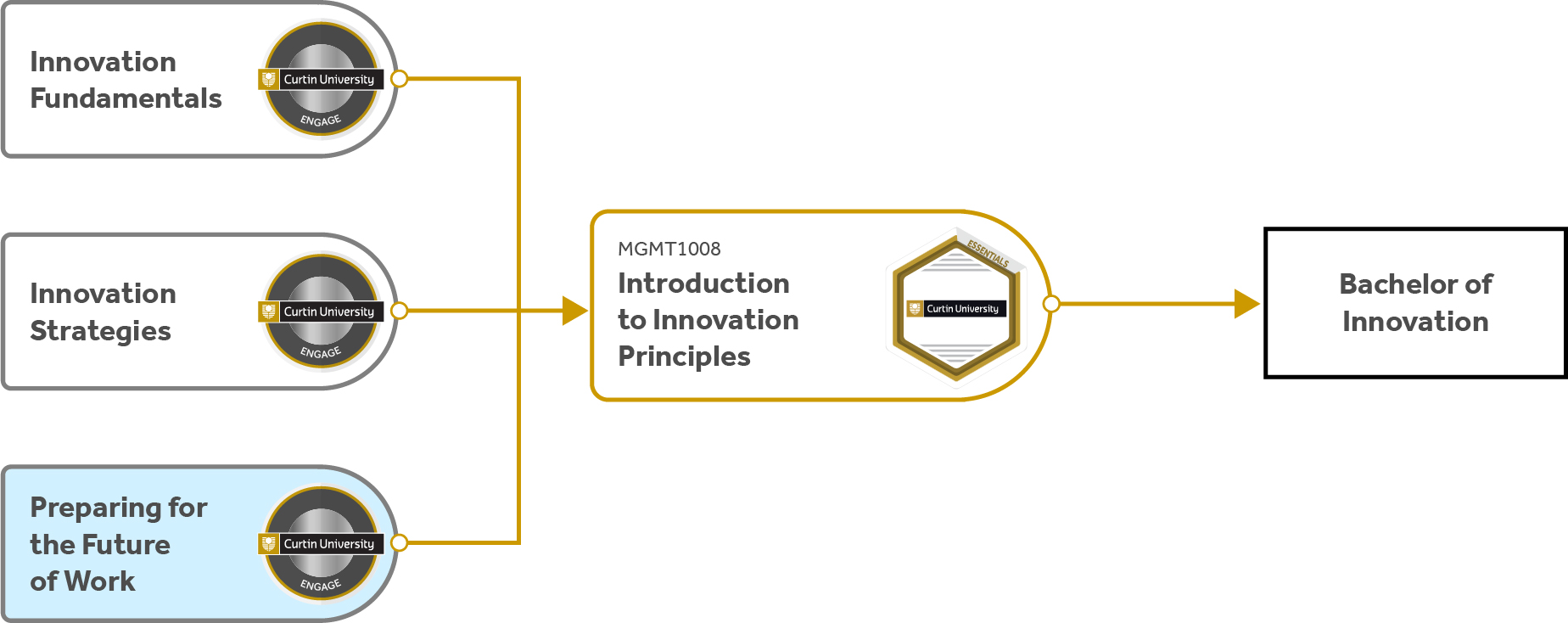 Course pathway diagram