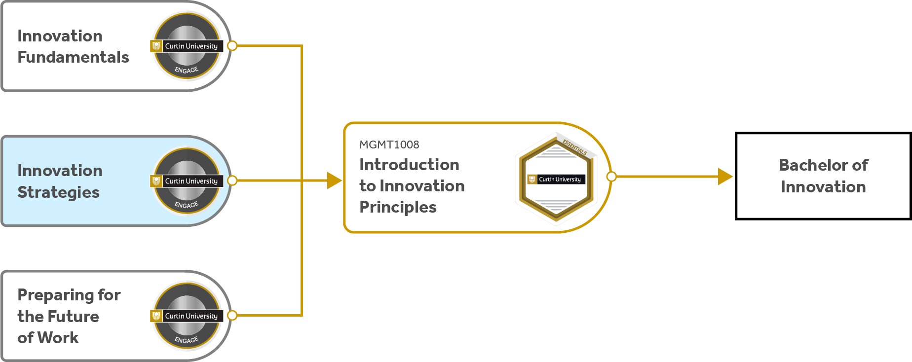 Course pathway diagram