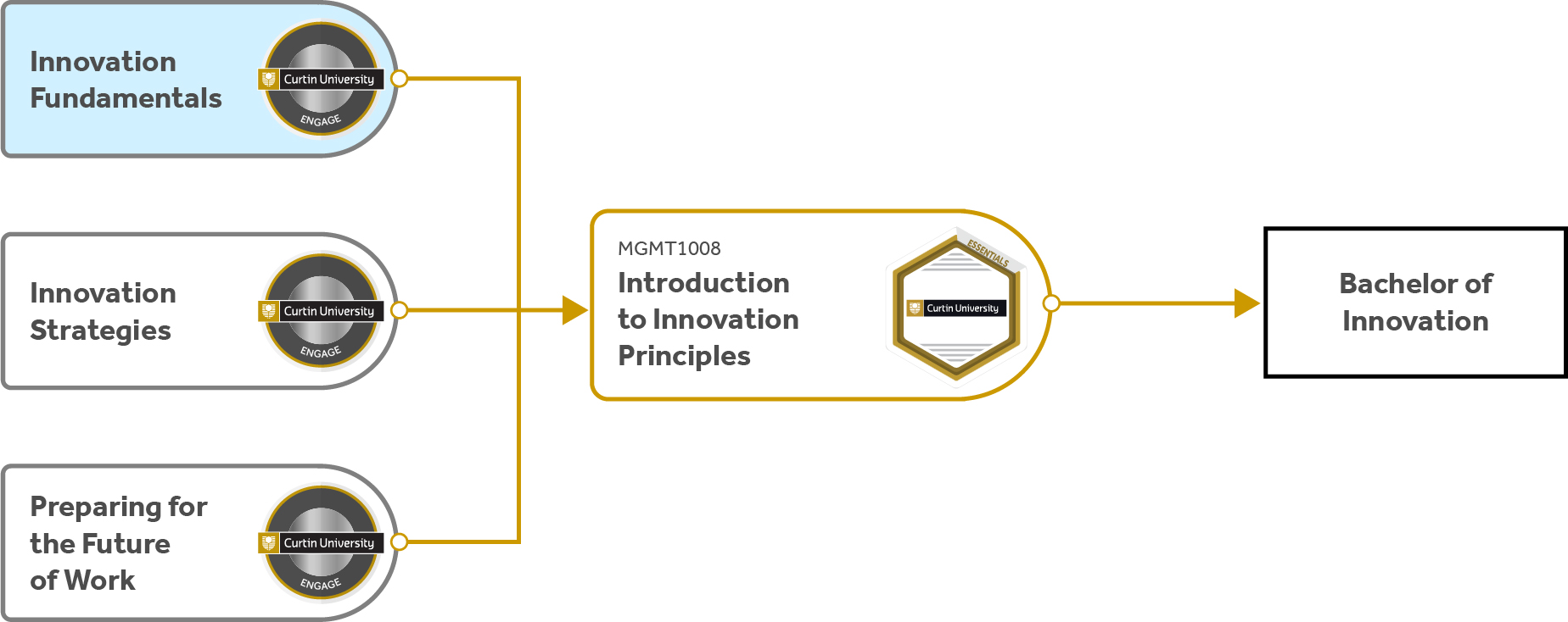 Course pathway diagram