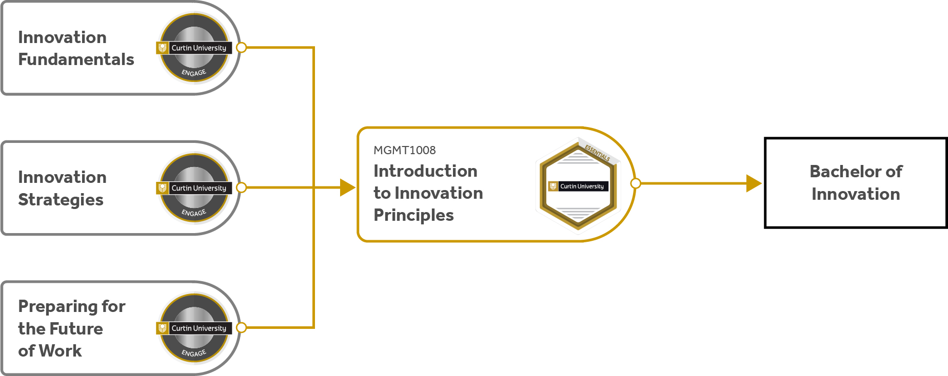 Introduction to Innovation Principles flow diagram